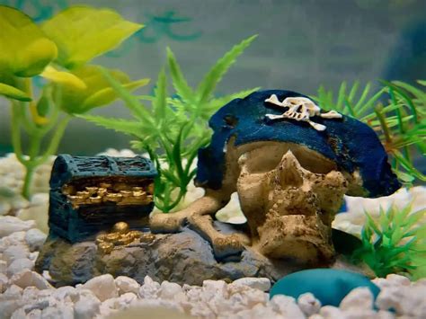 fish toys|11 Betta Fish Toys For a Happy Betta .